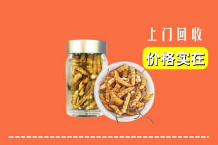 收购资讯:烟台牟平区回收散虫草