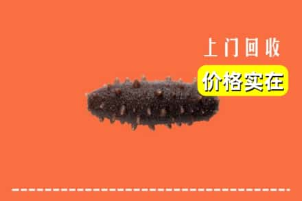 收购资讯:烟台牟平区回收海参