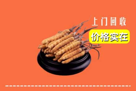 烟台牟平区回收冬虫夏草